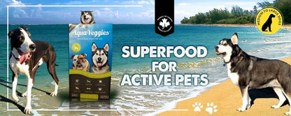 Superfood from the Sea for Pets - Daily Superfood Sachets for Medium & Large Dogs (Month's Supply)