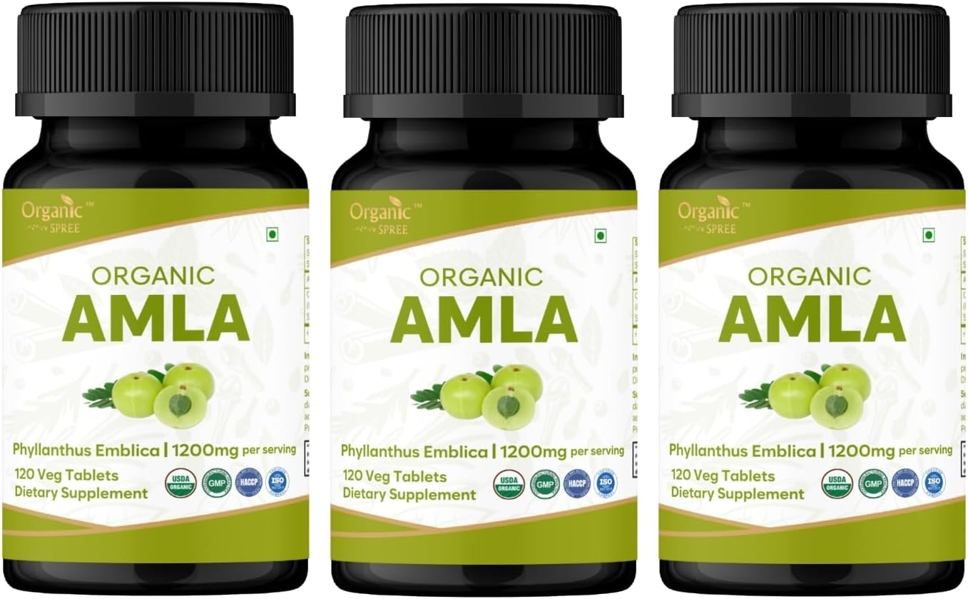 ORGANIC SPREE Amla Tablets - 1200mg Organic Indian Gooseberry - Supports Immune System - 120 Tablets (Pack of 3) - görsel 1