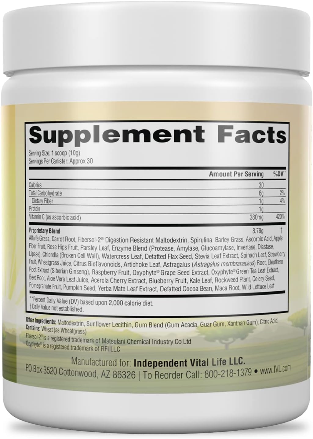 IVL - All Day Energy Greens - Supplement Powder Mix Drink, Greens Powder Superfood - Super Greens Blend for Optimal Nutrition, Energy & Digestion, Green Juice Superfood Boost - görsel 3