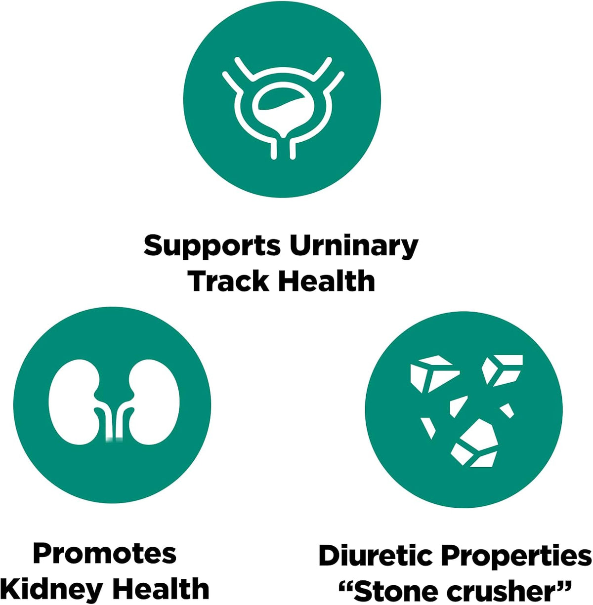 Platinum Naturals Chanca Piedra – Kidney Health Support, 90 Vegetarian Capsules - görsel 4