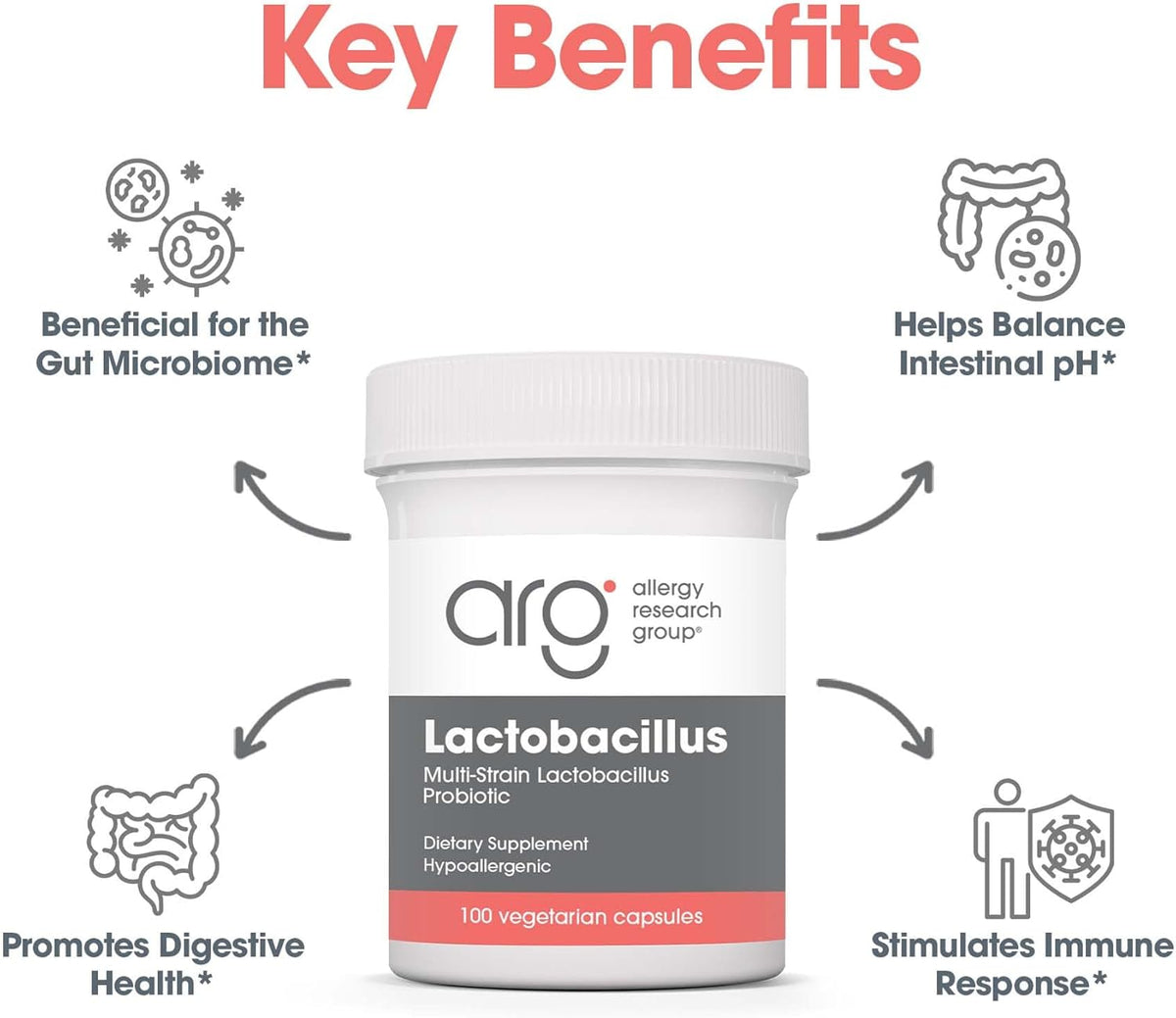 ARG Lactobacillus - Multi-Strain Probiotic Capsules - 100 Capsules - görsel 4