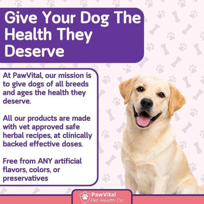 PawVital Dog UTI & Bladder Control Chews – Cranberry & D-Mannose Urinary Tract Support for Dogs, All-Natural Chicken Flavour, 90 Soft Chews