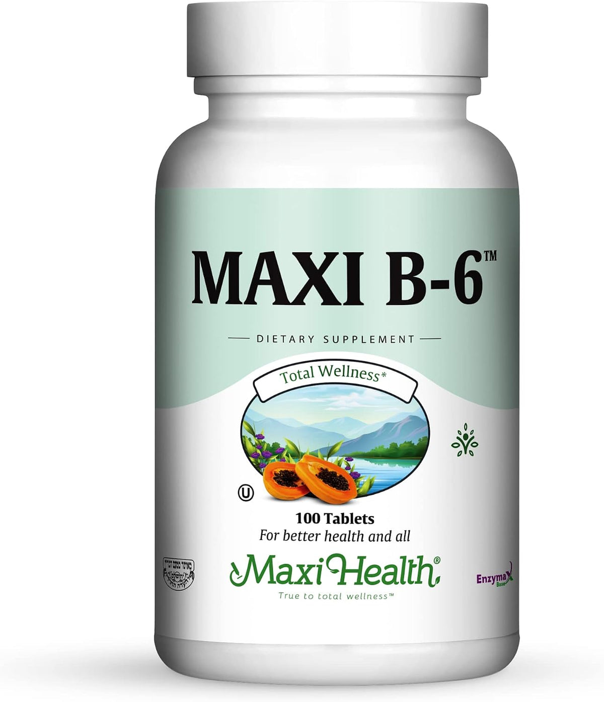 Maxi Health Vitamin B6 Supplement – 100 mg Pyridoxine HCl – 100 Tablets - görsel 1