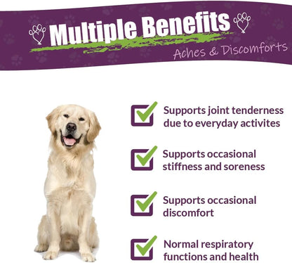 Amber NaturalZ Adizone Herbal Supplement for Dogs, 118 ml