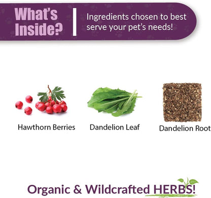 Amber NaturalZ Hawthorn & Dandelion Herbal Supplement for Pets