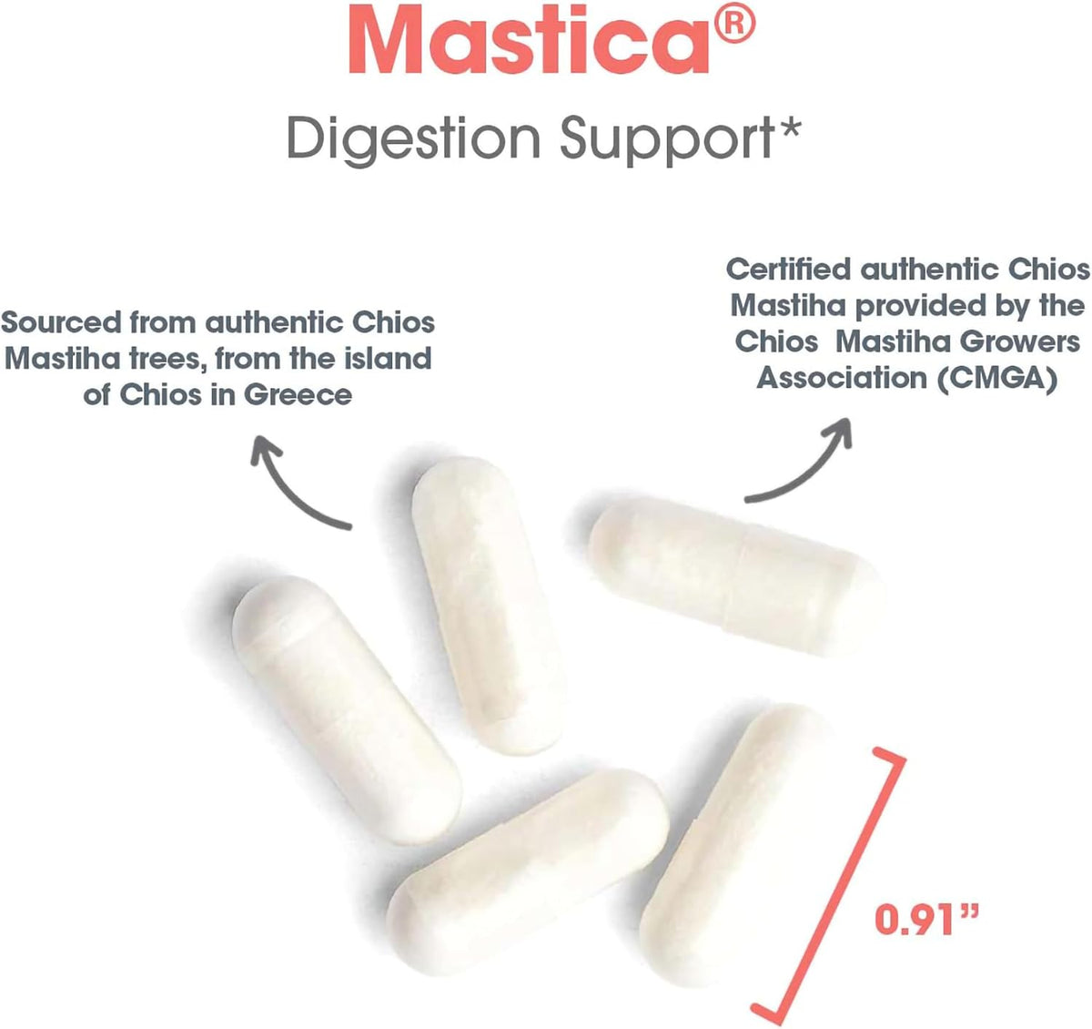 Allergy Research Group Mastica – Digestive Support with Chios Mastic Gum, 240 Capsules - görsel 5