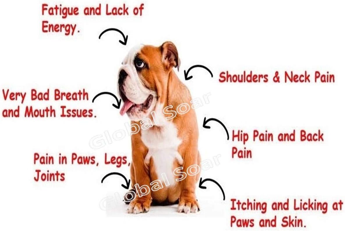 Omega Alpha HA-180 (Hyaluronic Acid) for Pets - 250ml - görsel 5