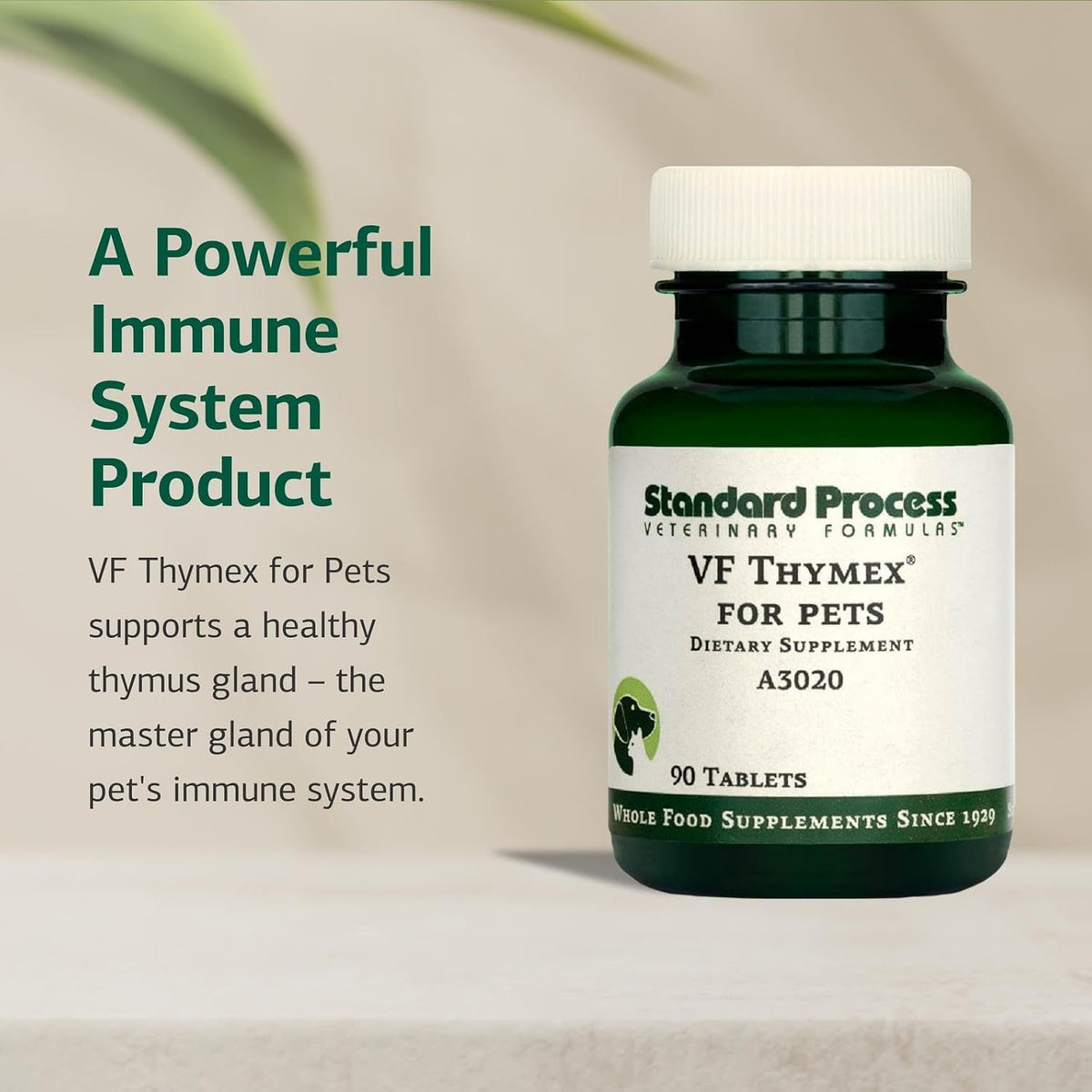 Standard Process Inc. VF Thymex for Pets - Cat and Dog Immune System Support Supplement - Thymus Supplement with Vitamin C - 90 Tablets - görsel 3