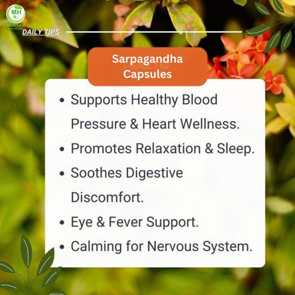 Morsan Health care Sarpgandha (Rauwolfia Serpentina) Capsules – Pack of 2 x 60 Veg Capsules | 500 mg Herbal Extract