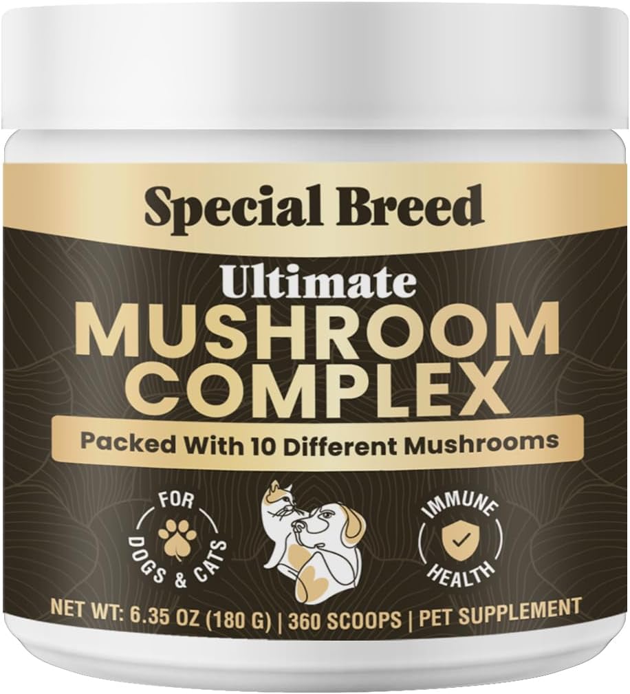 Organic Mushroom Powder for Dogs and Cats - Organic Mushroom Complex for Immune Support, Cognition and Vitality - 180 Scoops - görsel 8