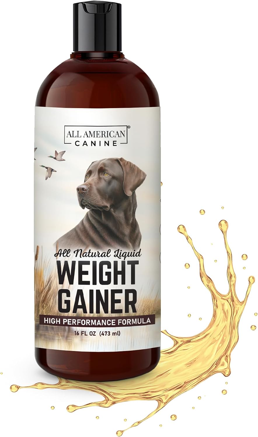 All American Canine Dog Weight Gainer Liquid – High Calorie Dog Food Supplement for Rapid Weight Gain, Mass, and Recovery – Appetite Stimulant (473 ml) - görsel 1