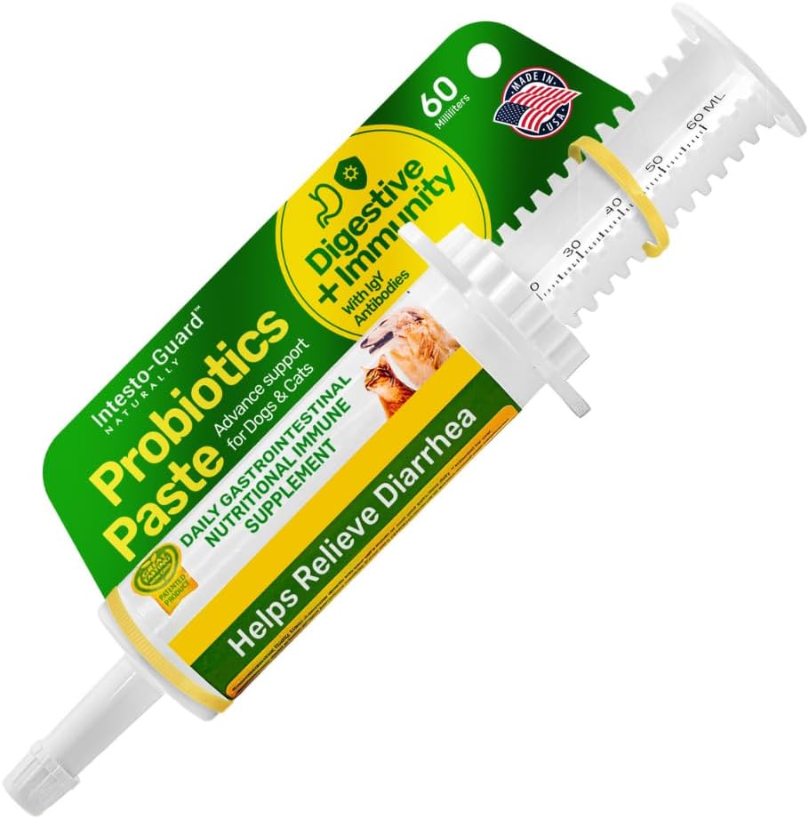 Probiotic Paste for Dogs – Prebiotic Gut Support & Immune Boost, All Natural, 60ml - görsel 1