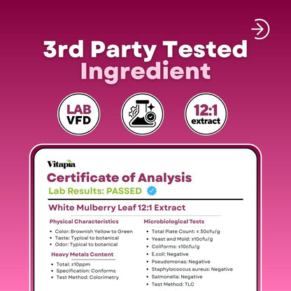 Vitapia White Mulberry Leaf Extract 1000mg – 12:1 Concentrated Food Supplement – 180 Vegan Capsules