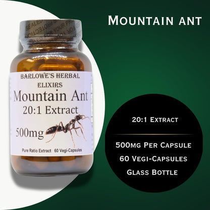 Barlowe's Herbal Elixirs Mountain Ant Extract | 20:1 Extract | 500 mg | 60 Vegan Capsules