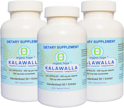 Organic Hope High Potency Polypodium Leucotomos Immune Support