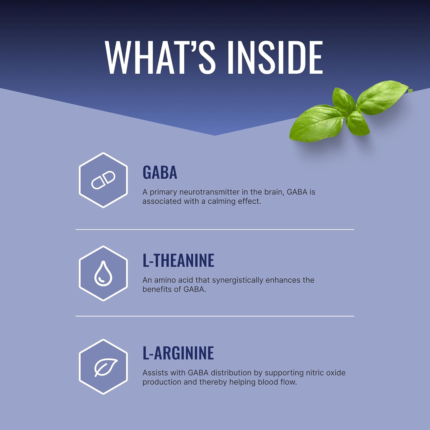 Approved Science GABA+ - Promote Calm, Support Sleep, Enhance Mood - 360 Vegan Capsules - görsel 2