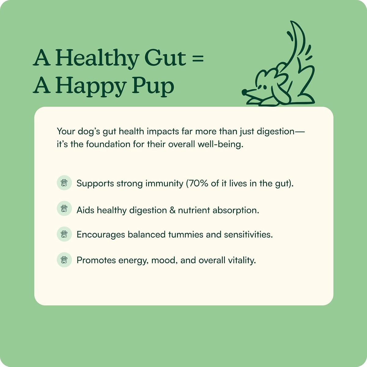 Reggie Pumpkin Probiotic Powder for Dogs - 7-Strain Probiotics + Pumpkin for Gut Health, Digestion & Stool Consistency | Natural Dog Digestive Supplement | Vet-Approved & Made in USA | 40 Scoops - görsel 3
