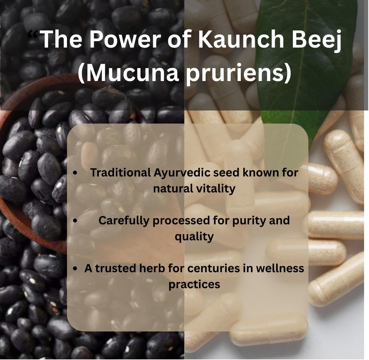 Kaunch Beej 500mg | 60 Vegan Capsules | Pure Mucuna Pruriens Extract | Traditional Ayurvedic Velvet Bean Supplement for Vitality & Energy | Non-GMO & Gluten-free - görsel 6