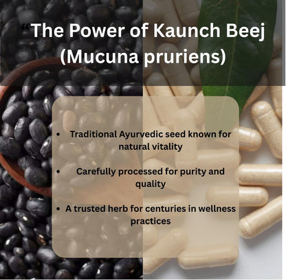 Kaunch Beej 500mg | 60 Vegan Capsules | Pure Mucuna Pruriens Extract | Traditional Ayurvedic Velvet Bean Supplement for Vitality & Energy | Non-GMO & Gluten-free