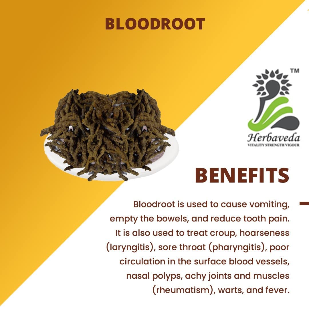 Metrol Herbaveda Bloodroot 200g | Sanguinaria Canadensis - görsel 2