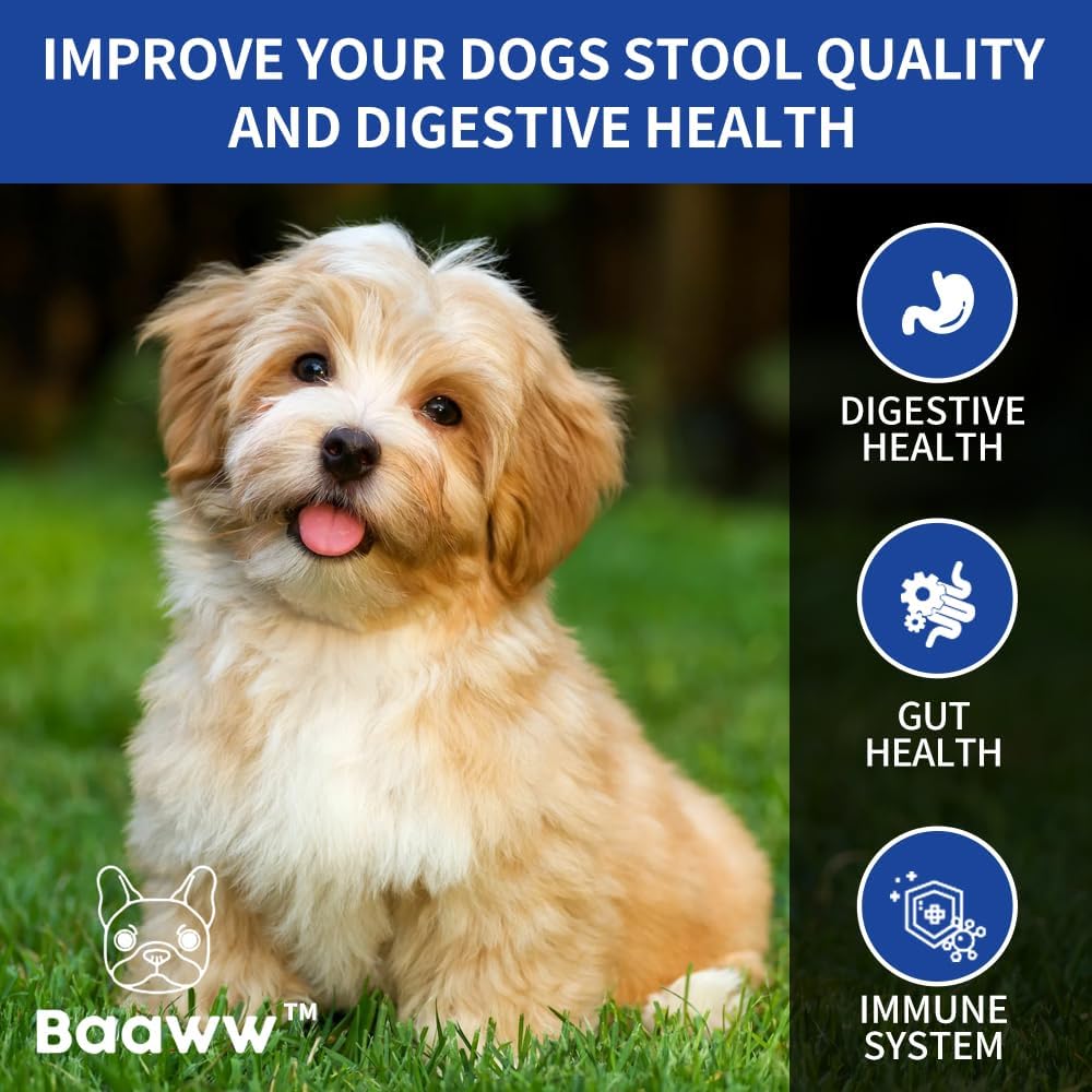 Baaww Probiotics for Dogs - Digestive Health & Immune Support Soft Chews (6 Billion CFUs, 90 Count) - görsel 6
