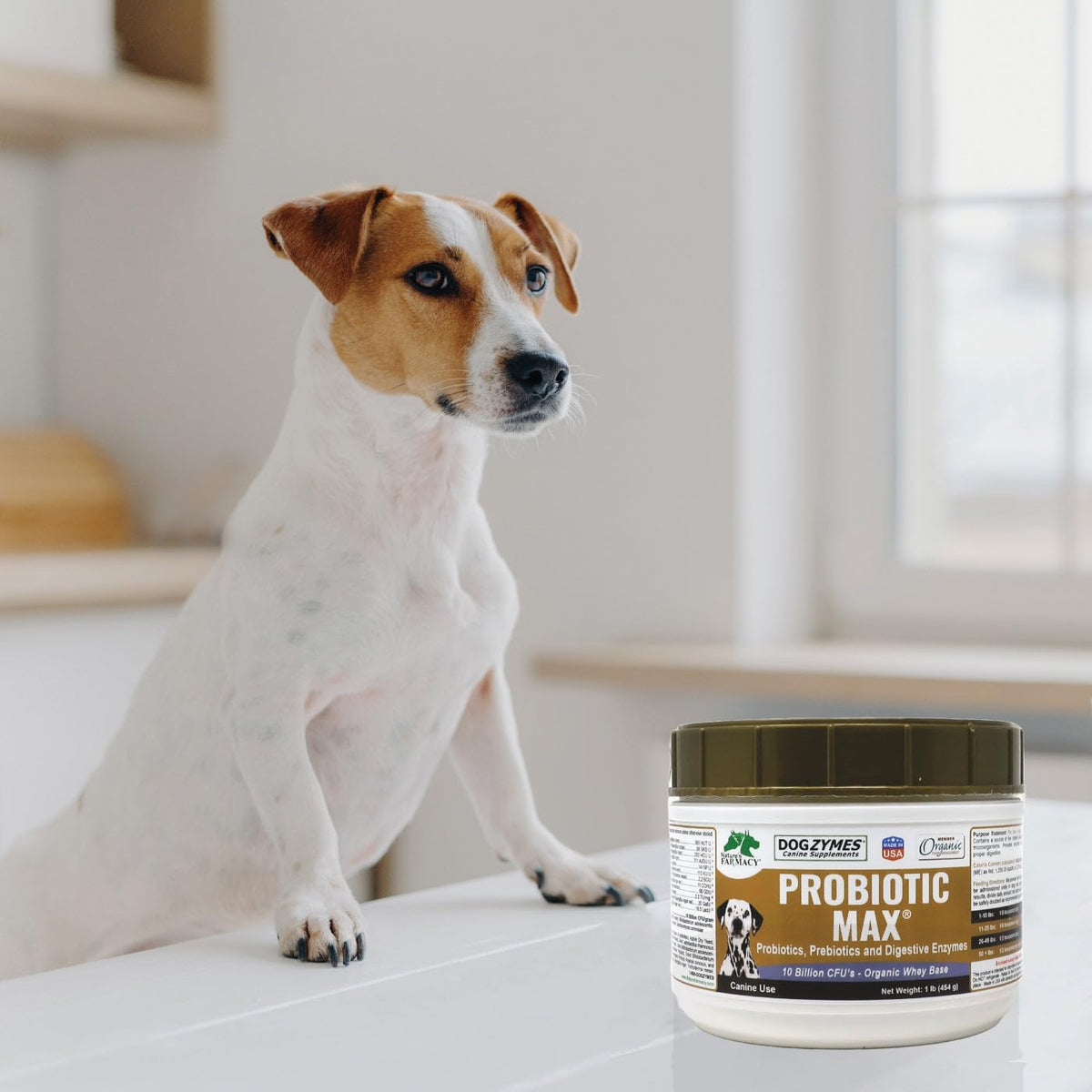 Dogzymes Probiotic Max - 10 Billion CFU Probiotics, Prebiotics & Digestive Enzymes for Dogs (2 lb) - görsel 4