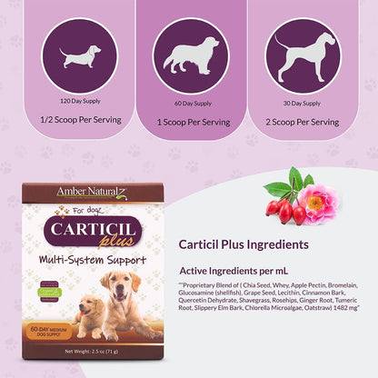 Amber NaturalZ Carticil Plus Herbal Supplement for Dogs, 60-Day Medium Dog Supply