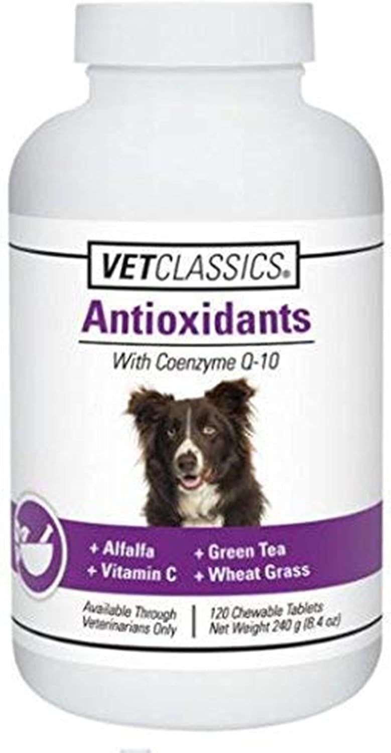 Vet Classics Coenzyme Q-10 Antioxidant Dog Supplement – Chewable Tablets for Canine Health - görsel 1