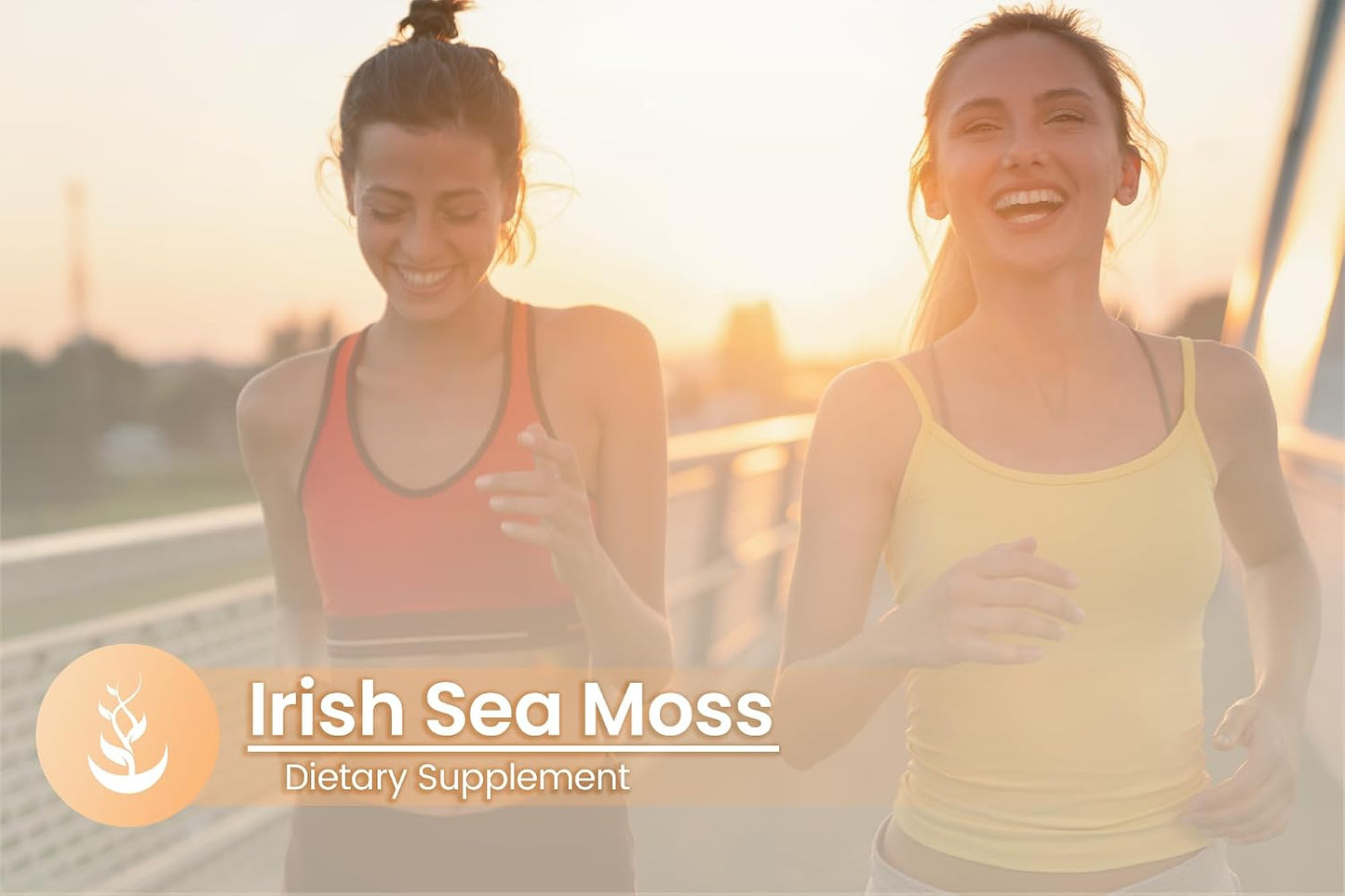 PURE ORIGINAL INGREDIENTS Irish Sea Moss – 100 Capsules, Pure Single Ingredient - görsel 5