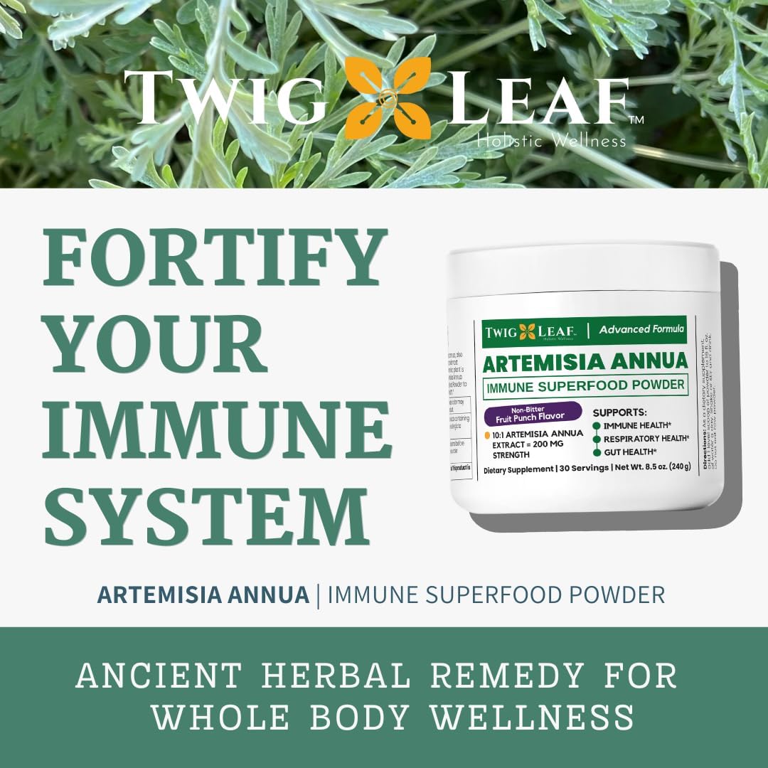 Artemisia Annua Sweet Wormwood Herbal Powder | Immune & Brain Support | Non-GMO, Vegan, Gluten-free (240g) - görsel 3