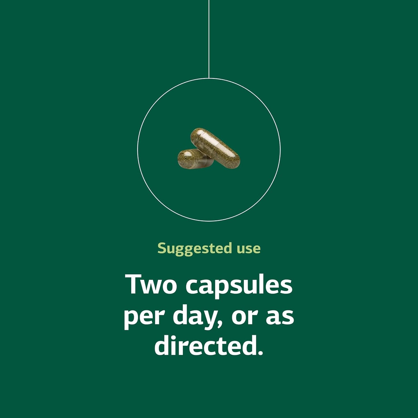 Standard Process Catalyn with Iron - 150 Capsules - görsel 5