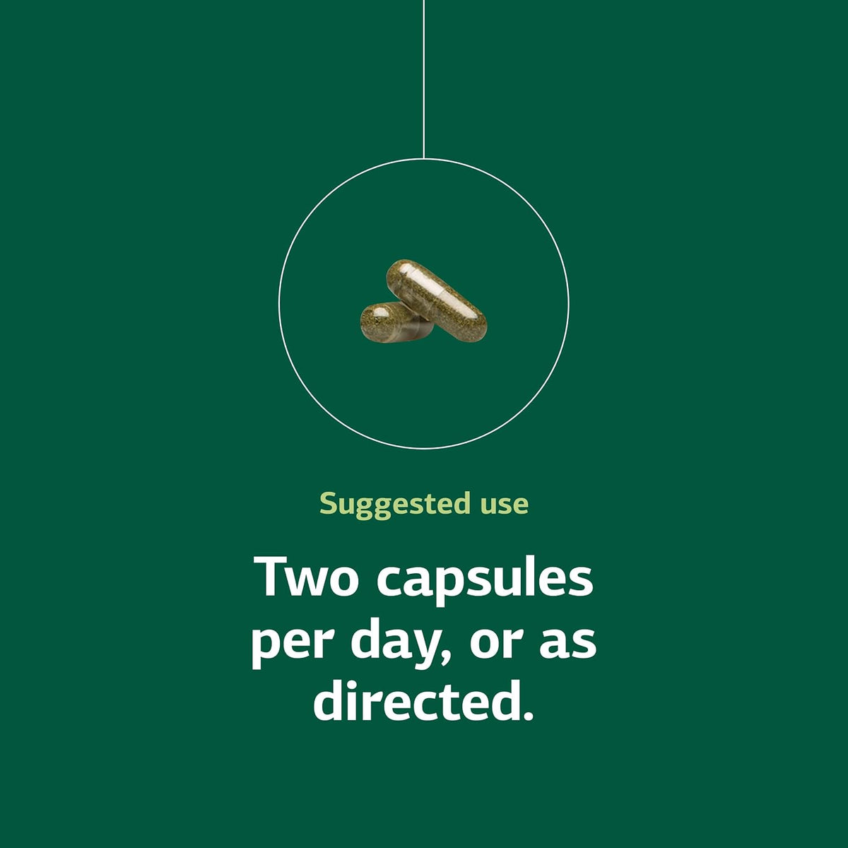Standard Process Catalyn with Iron - 150 Capsules - görsel 5