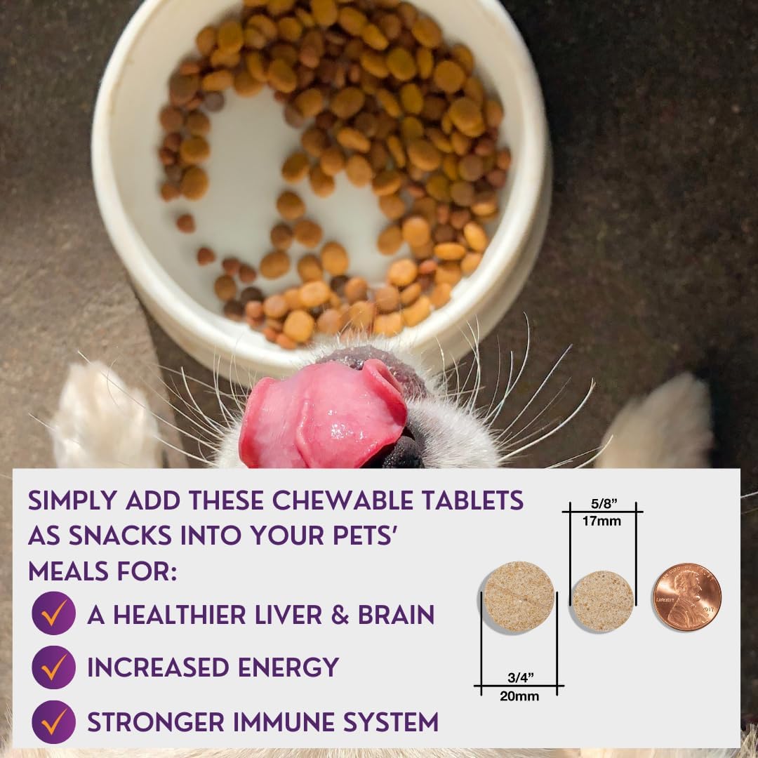 Comprehensive Liver Supplement (2 Pack - 60 Tablets), Combining SAMe, SPC, Silybin A+B, Glutathione, Chewable Tablets for Dogs 30 Tablets (2 x Small to Medium) - görsel 6
