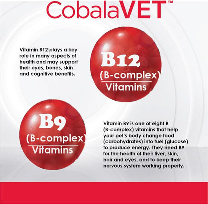 CobalaVet Vitamin B12 & B9 for Small Dogs & Cats – Supports Nervous System, Brain Function, Immune Defences & Cell Growth – Blood Cell Formation – Metabolic Pathway – 60 Soft Chews
