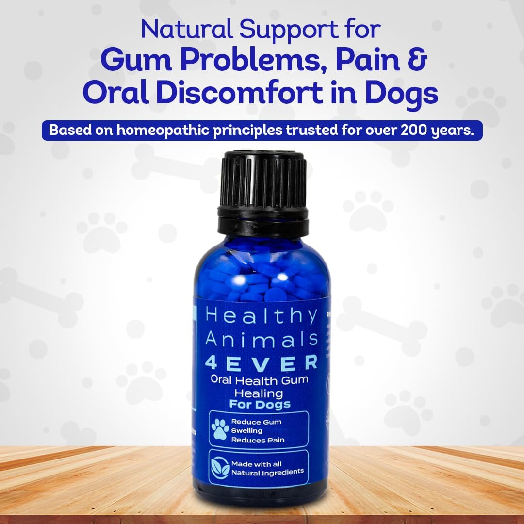 HA4E - Dog Oral Health Supplement - Natural, Organic, Non-GMO - 300 Tablets - görsel 2