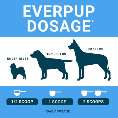 EverPup Multivitamin Dog Supplement – Glucosamine & Apoptogens for Hip and Joint Health + Probiotics & Prebiotics with Enzymes for Digestion