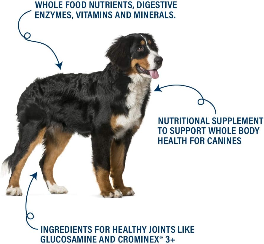 360 Pet Nutrition Canine Superfood Boost – All Life Stage Dog Meal Topper & Supplement, Supports Joint, Digestive & Immune Health, 30 Servings, Beef Flavour - görsel 5