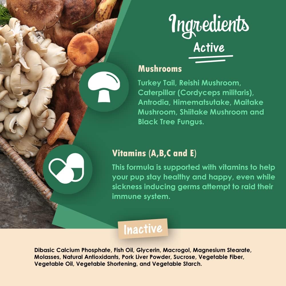 Mycogen Immune Support for Dogs – Beta Glucan, Reishi, Shiitake & Maitake Mushroom Blend – 60 Tasty Liver-Flavoured Soft Chews - görsel 10