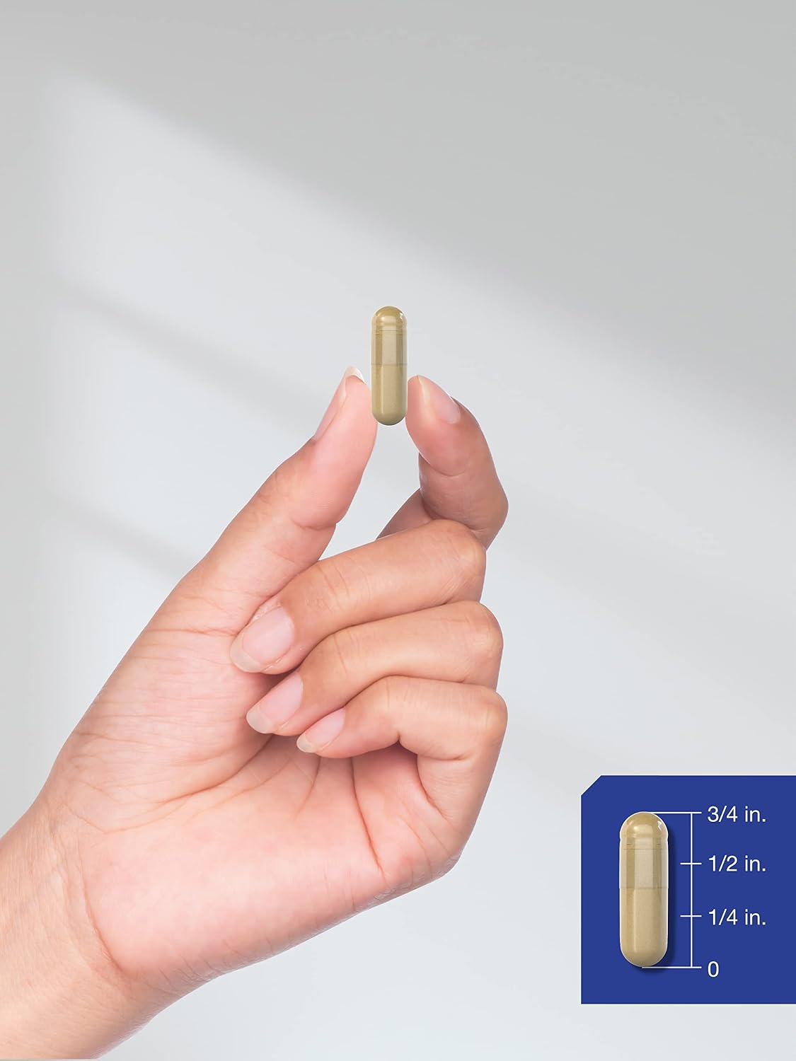Horbäach Huperzine A 400mcg | 180 Capsules | Non-GMO, Gluten-free Food Supplement - görsel 7