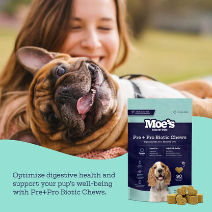 Moe's Probiotic Chews for Dogs 90ct – Pumpkin Flavour Prebiotics & Probiotics for Gut Health, Digestion, Immunity and Itchy Skin Relief