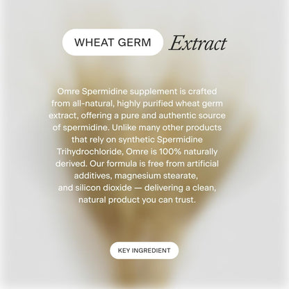 OMRE Spermidine Supplement – 10mg Natural Spermidine from Wheat Germ Extract