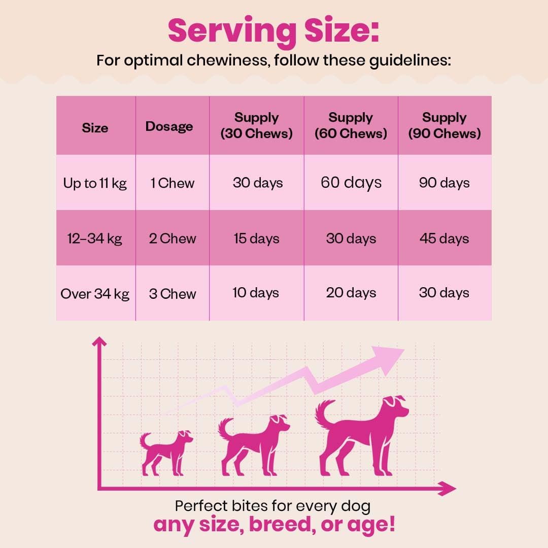 TailsAlive Probiotic Soft Chews for Dogs | Six Probiotic Strains for Gut Health & Digestion | Chicken Flavour | Supports Immune Function | 90 Soft Chews - görsel 6