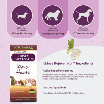 Amber NaturalZ Kidney Rejuvenator Herbal Supplement for Dogs, Cats, Birds, Rabbits, and Guinea Pigs | Supports Normal Kidney Function | Natural Aid for Kidney Health – 30 ml
