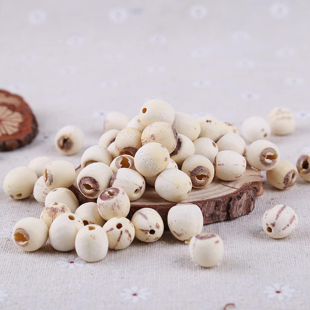 Organic Lotus Seeds – 500 g - görsel 4