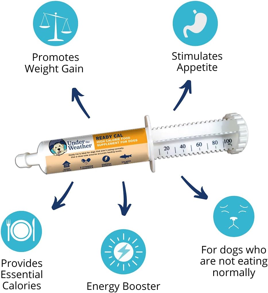 Under the Weather Pet Ready Cal for Dogs High Calorie Supplement, 100cc - görsel 3
