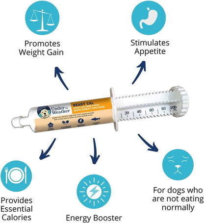 Under the Weather Pet Ready Cal for Dogs High Calorie Supplement, 100cc