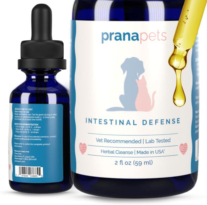 Intestinal Defence Supplement for Dogs & Cats | Herbal Formula for Digestive Health | 2-Pack