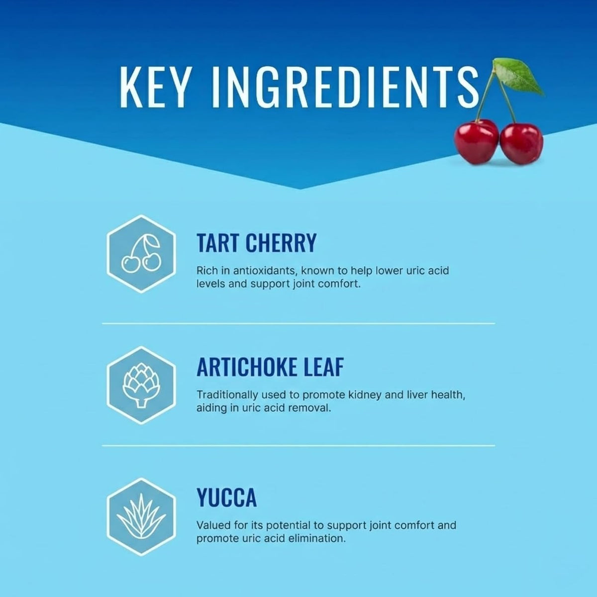 Approved Science Uric Acid Flush Supplement - görsel 4