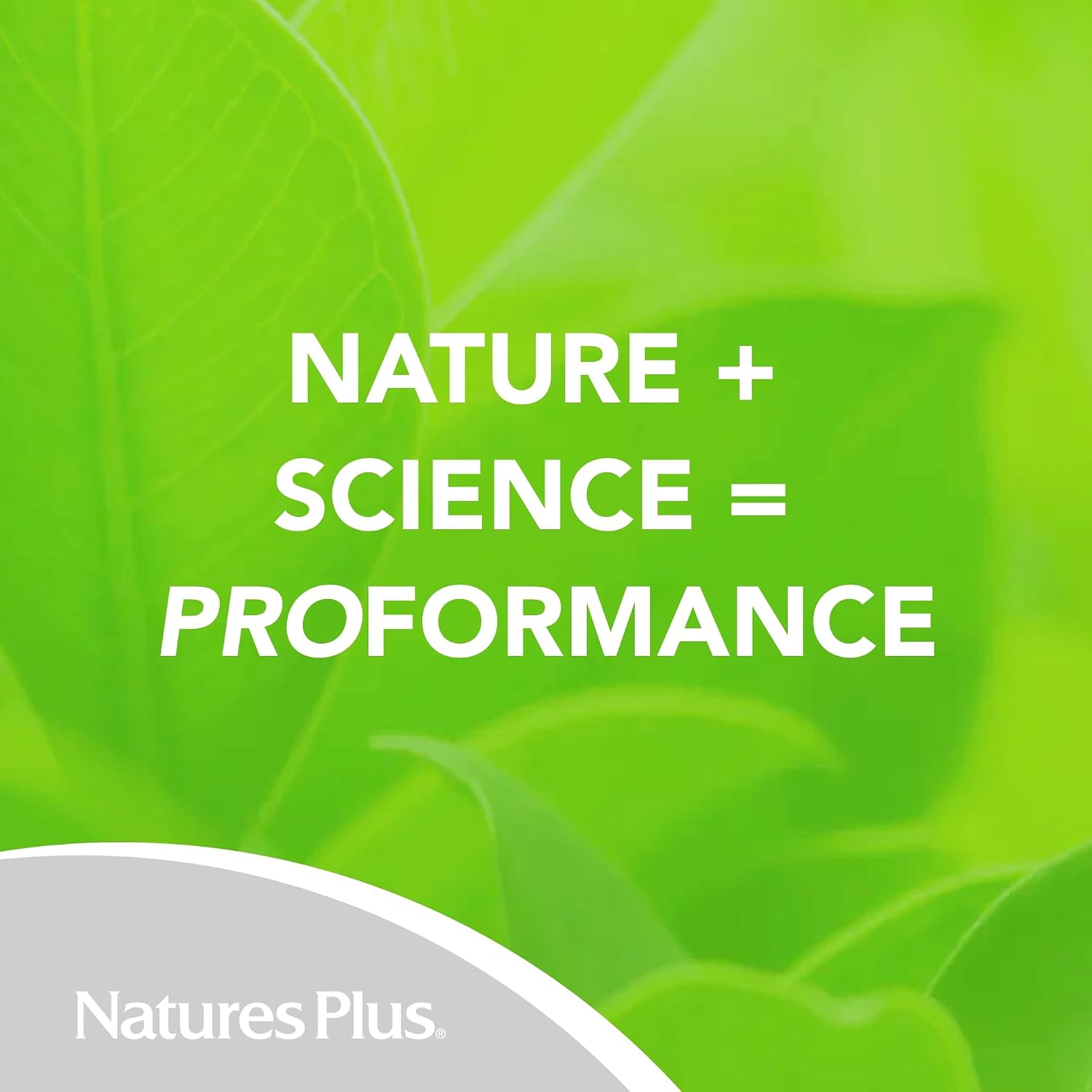 NaturesPlus PRO DIM 200 mg - 60 Capsules - Supports Healthy Oestrogen Levels - Non-GMO, Vegan & Gluten-free - 30 Servings - görsel 6