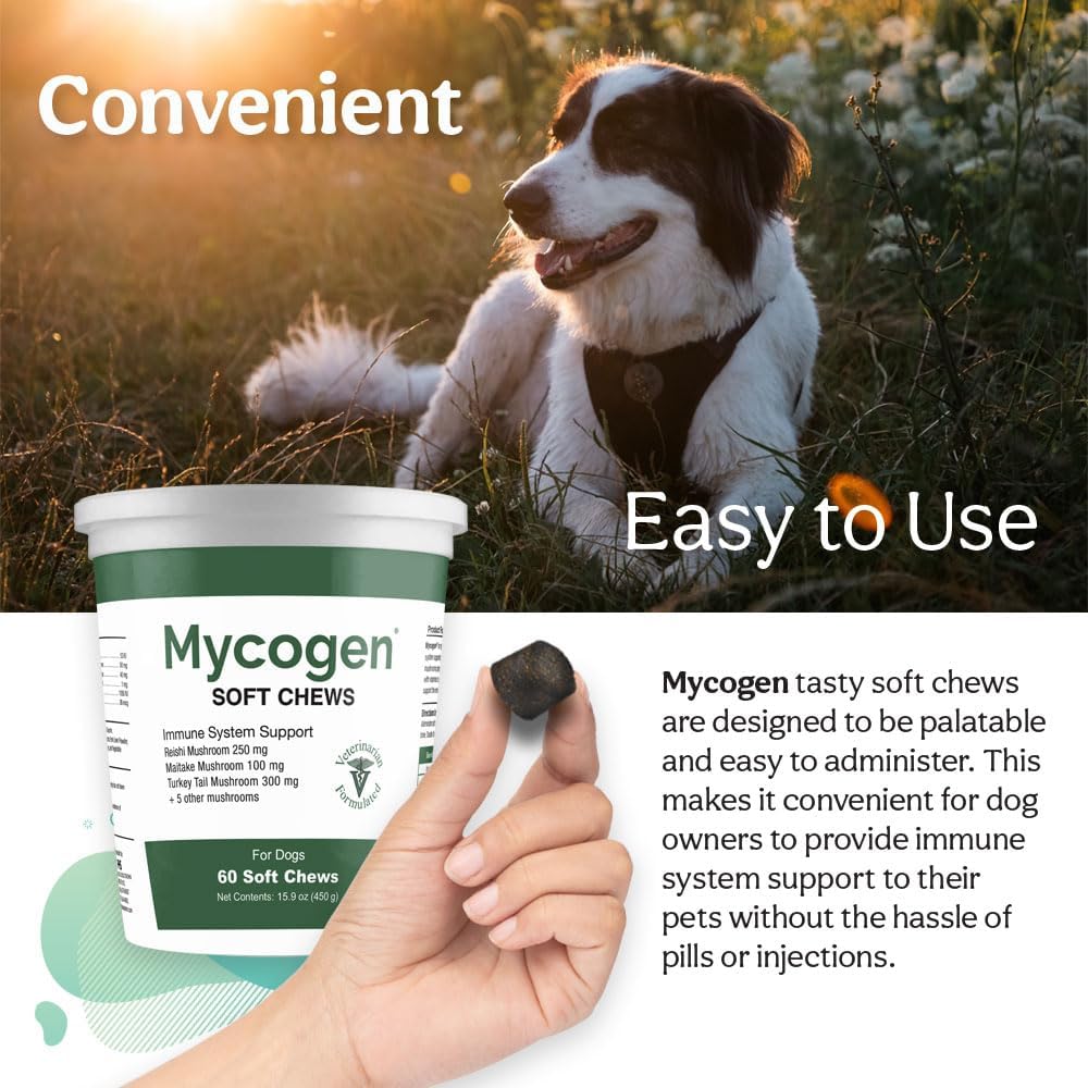Mycogen Immune Support for Dogs – Beta Glucan, Reishi, Shiitake & Maitake Mushroom Blend – 60 Tasty Liver-Flavoured Soft Chews - görsel 8